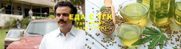 мет Елабуга