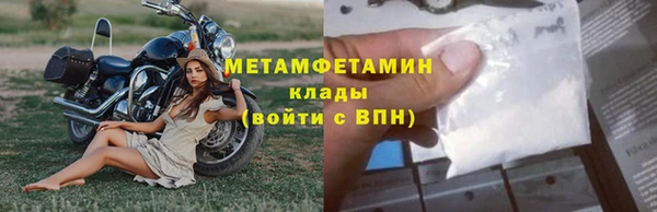 стаф Дмитровск