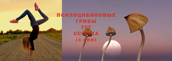 амф Елизово