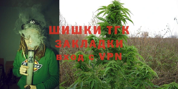 амф Елизово