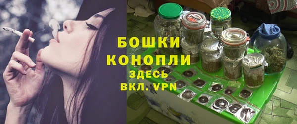 мет Ельня