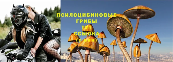 мет Елабуга