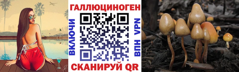 Псилоцибиновые грибы Psilocybine cubensis Светлый